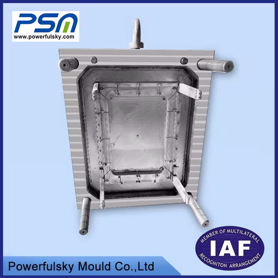 Molde de inyección de plástico OEM personalizado pieza de nailon ABS especial de caja de dispositivo de cuidado de belleza de bajo costo