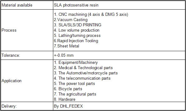 Zs SLA520 Rapid SLA Prototyping 3D Printing Human Model